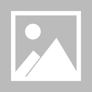 开云最新网址-中网参赛阵容公布:郑钦文携14位大满贯冠军出征!