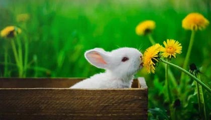 戈登：上赛季最大的提升是三分 喜欢“无私的拼图球员”这个称号